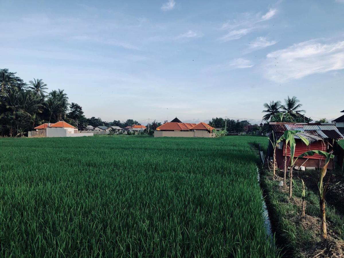 Umagama Villas Ubud Eksteriør bilde